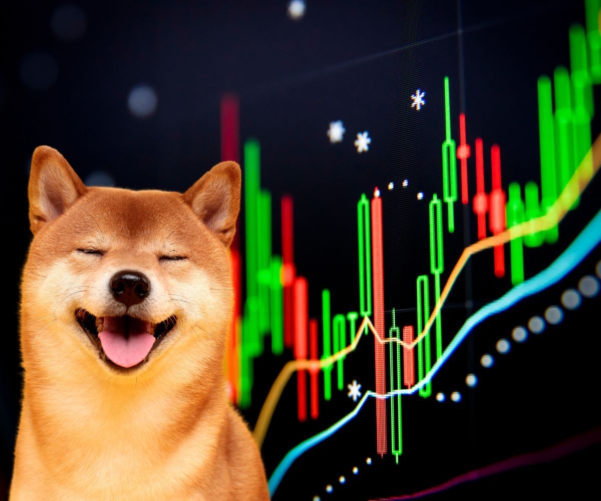 L'image montre un chien shiba inu et des graphiques