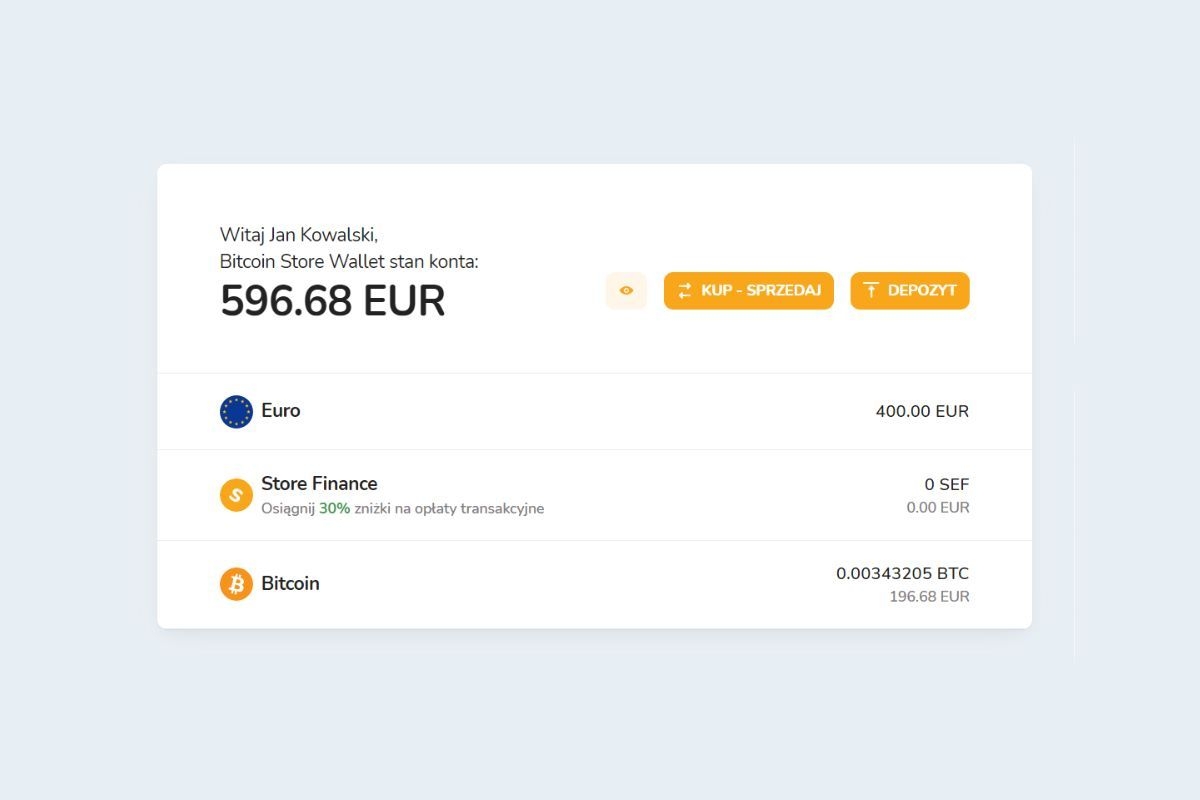 Portfel kryptowalut w cyfrowym portfelu Bitcoin Store Wallet